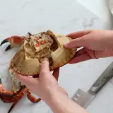 Händer öppnar en krabba, med klor och kött synligt. Frågan om krabba är halal kan vara relevant för vissa.