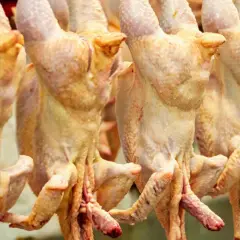 Rader av hängande kycklingar, förberedda för halalslakt. Processen för halalslakt hur går det till är viktig för många.