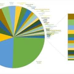 Diagrammet visar att Sunni Islam är den största religionen med 24,948%. Hinduismen (Vaishnavism) är näst störst med 9,349%.