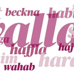 Ord som "göte", "habibi", "chagga", "hajvan", "benim", "wahab", "haram", "shii" och "hafla" omger det stora ordet "wallah". Vad betyder wallah?