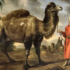 En man i röd dräkt håller i ett kamelrep. En kamel står bredvid, med andra kameler och ryttare i bakgrunden. En scen som påminner om nafs islam.