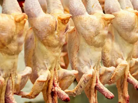 Halalslakt i Sverige - Bedövning, lagar & vad du måste veta
