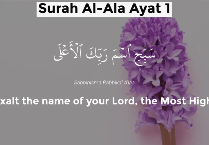 Text från Surah Al-Ala, vers 1, med arabisk skrift och översättning: "Lovprisa din Herres namn, den Högste." En lila hyacint syns.