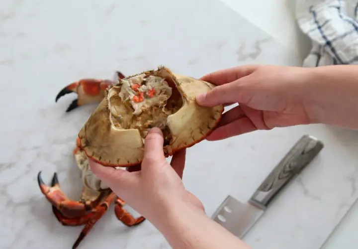 Händer öppnar en krabba, med klor och kött synligt. Frågan om krabba är halal kan vara relevant för vissa.