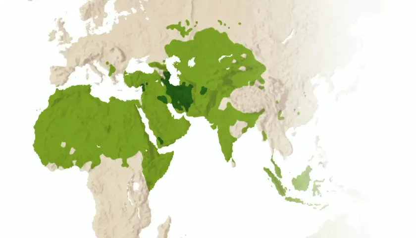 Karta visar spridningen av islam, där gröna områden indikerar muslimska befolkningar. Detta kan relateras till sunnah, som är profeten Muhammeds levnadssätt och lära.