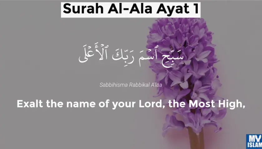 Text från Surah Al-Ala, vers 1, med arabisk skrift och översättning: "Lovprisa din Herres namn, den Högste." En lila hyacint syns.