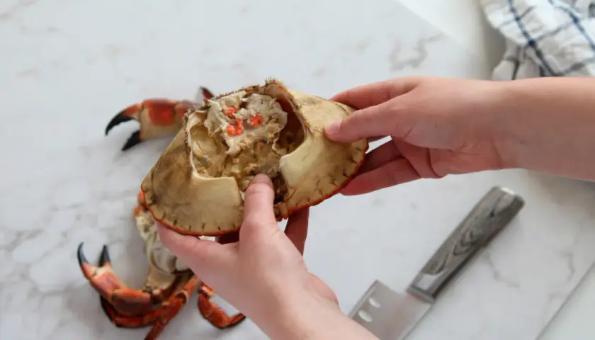 Händer öppnar en krabba, med klor och kött synligt. Frågan om krabba är halal kan vara relevant för vissa.
