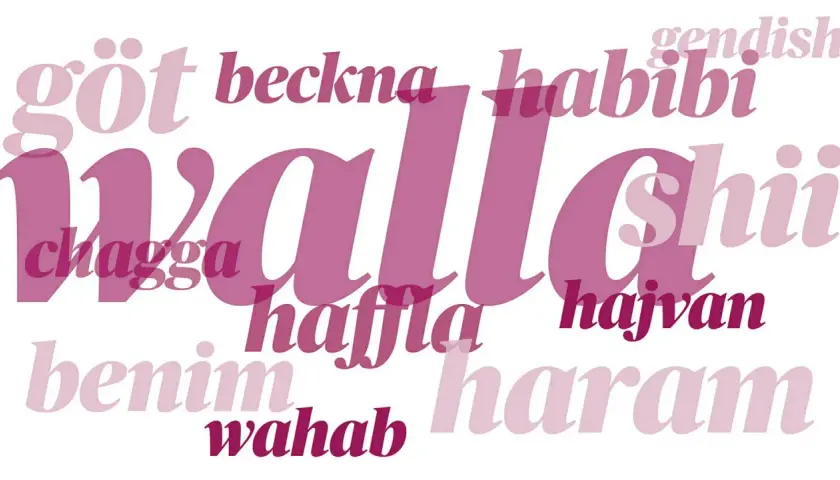 Ord som "göte", "habibi", "chagga", "hajvan", "benim", "wahab", "haram", "shii" och "hafla" omger det stora ordet "wallah". Vad betyder wallah?