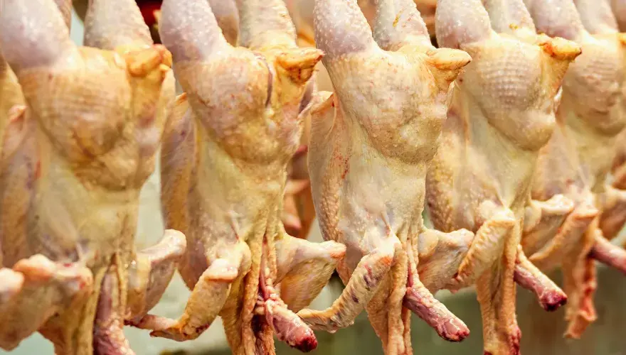 Halalslakt i Sverige - Bedövning, lagar & vad du måste veta