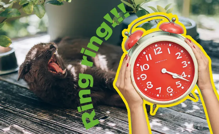 Dua för att vakna upp - Enkel rutin för din morgon