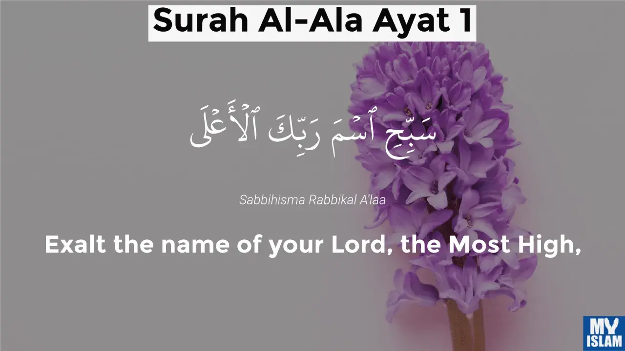 Text från Surah Al-Ala, vers 1, med arabisk skrift och översättning: "Lovprisa din Herres namn, den Högste." En lila hyacint syns.