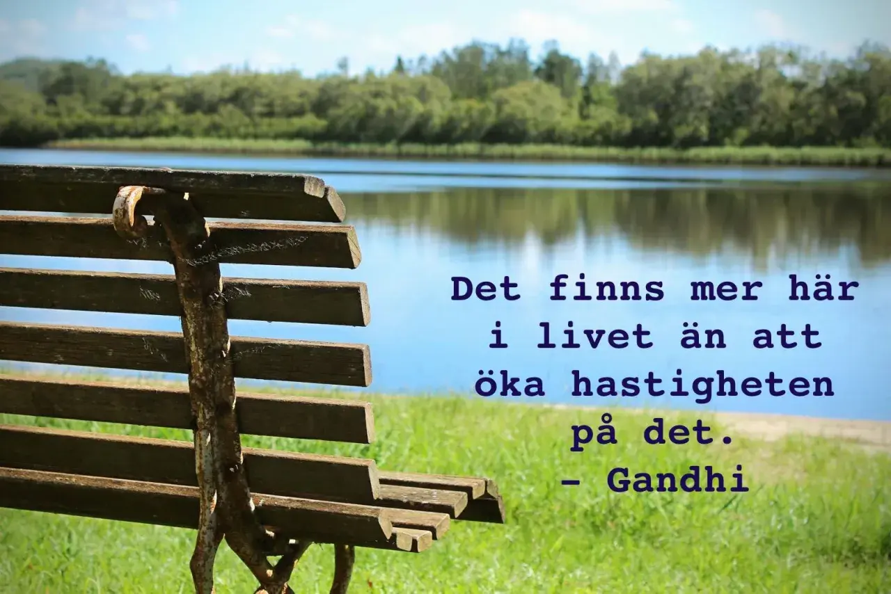 En bänk vid en sjö med texten "Det finns mer här i livet än att öka hastigheten på det. - Gandhi". En påminnelse om att njuta av lugnet, som en دعاء يوم السبت.