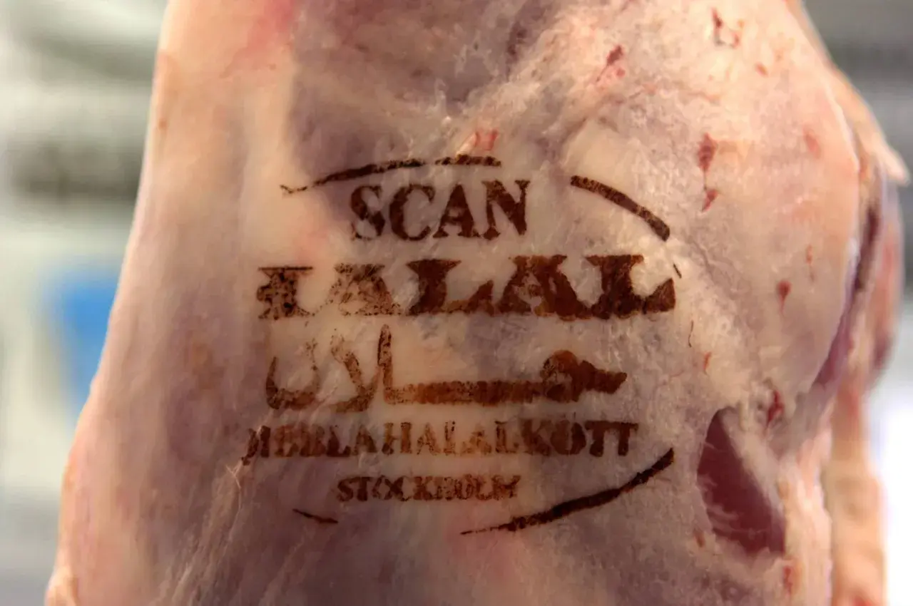 Stämplad text på kött: "SCAN HALAL" och arabisk skrift, vilket förklarar vad betyder halal. Köttet är märkt "MEBLAHALALKÖTT STOCKHOLM".