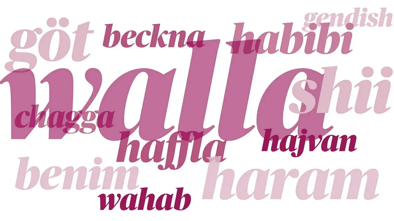 Ord som "göte", "habibi", "chagga", "hajvan", "benim", "wahab", "haram", "shii" och "hafla" omger det stora ordet "wallah". Vad betyder wallah?