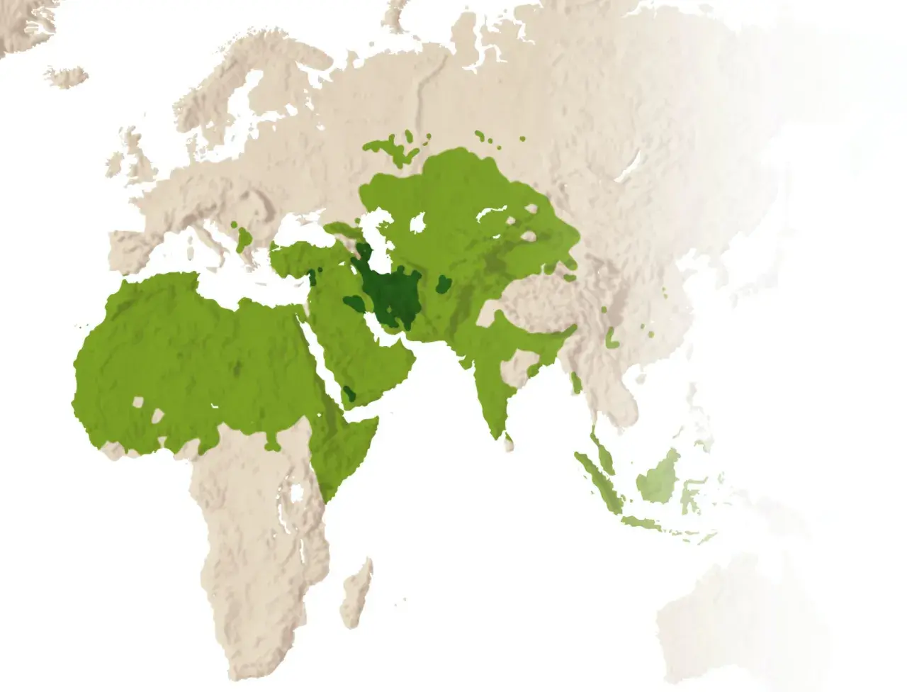 Karta visar områden med shiamuslimsk befolkning i Mellanöstern, Nordafrika och delar av Asien.